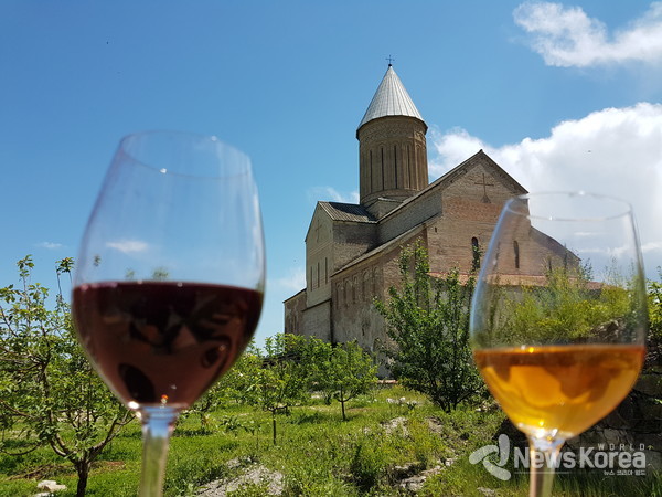공식 서류로 남아 있는 1천 년된 와이너리 알라 베르디 수도원에서 레드 와인과 화이트 와인 조지아 화이트 와인은 흰색이 아닌 황금 색깔이다 그래서 조지아 사람들은 오크로(황금) 와인 이라고 부른다  @뉴스코리아 박철호 특파원