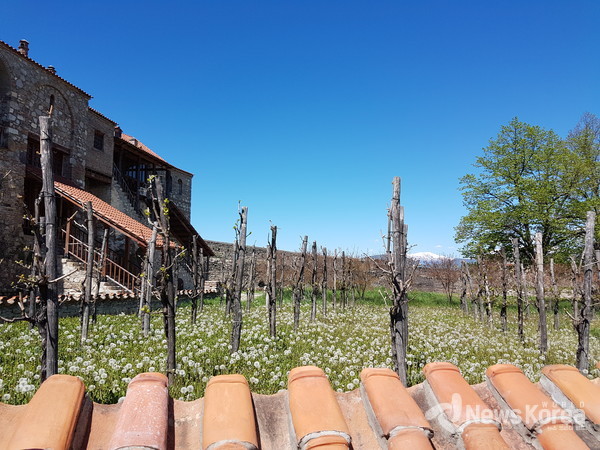 105종의 포도 종을 전시 하고 있는 알라베르디 수도원 @뉴스코리아 박철호 특파원