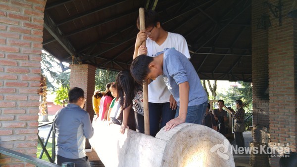 포도를 밟는 나무 통 120년이 넘은 나무 통이다 , 라짜 지역은 이 나무 통에서 포도를 발효 시켜 와인을 숙성 한다 @뉴스코리아 박철호 특파원