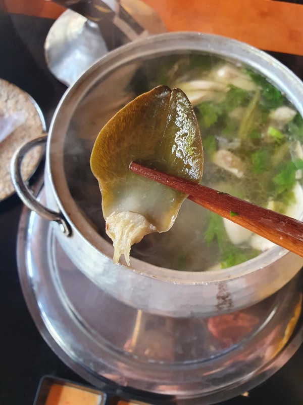 아티소는 국기 봉우리처럼 생겼는데 , 이렇게 떼어서 요리에도 많이 쓰인다. @뉴스코리아 이웅연 특파원