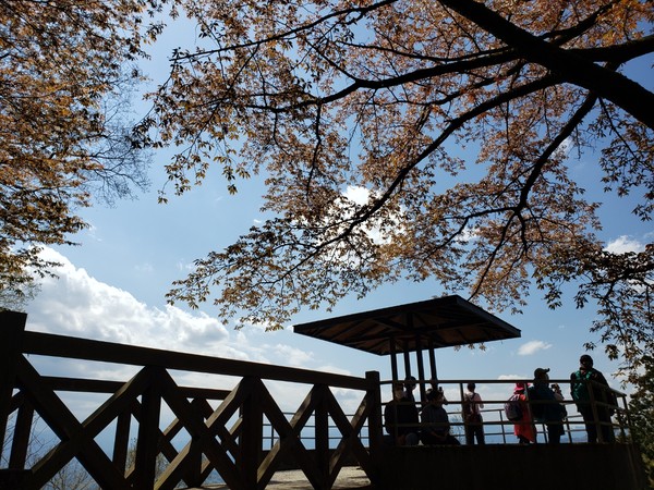 사이타마현 미노야마 공원 @뉴스코리아 김양현 특파원