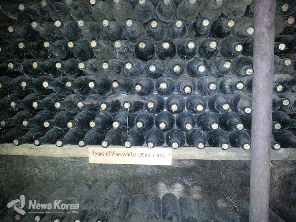 30년된 와인을 가지고 있었던 와이너리 @뉴스코리아 박철호 특파원