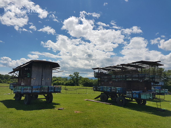 카케티 지역은 포도 ,수박,복숭아 , 양 방목, 천연 양봉으로도 유명한 지역이다. @뉴스코리아 박철호 특파원