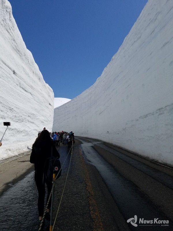 GPS를 이용하여 재설하여 정비 된 설벽 산책로가 2018년17m,올해는 14m이다. @뉴스코리아 김양현 특파원