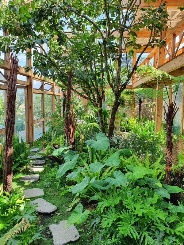 작은 유리 식물원에 가득찬 열대 식물들 @뉴스코리아 이웅연 특파원