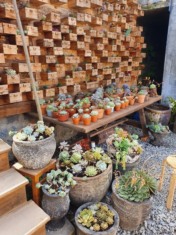 건물 사이에 만들어 놓은 작은 선인장 진열선반과 항아리 @뉴스코리아 이웅연 특파원