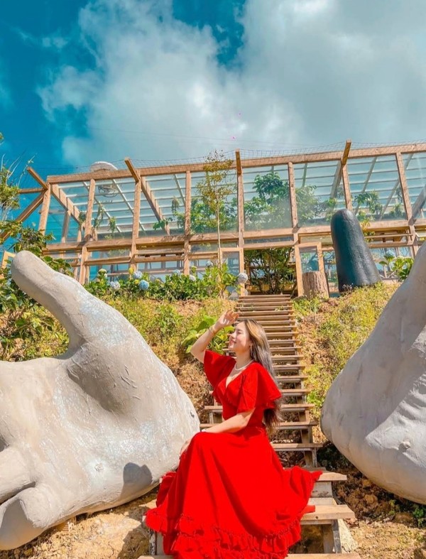 Tu lu tu la 커피농장 제공 @뉴스코리아 이웅연 특파원