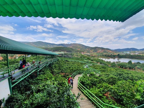 커피 농장을 직접 체험할수 있는 산책로 @뉴스코리아 이웅연 특파원 