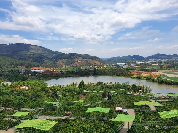 멋진 전망의 메린 커피 농장 @뉴스코리아 이웅연 특파원 