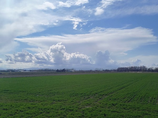 농부의 정성이 깃든 북해도의 농촌의 모습 @뉴스코리아 김경전 특파원