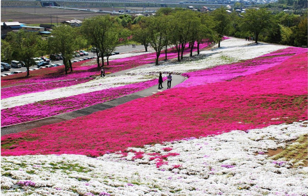 언덕 위에서 내려다보는  공원 전경 @뉴스코리아 김양현 특파원