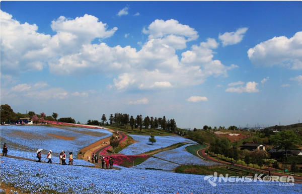 하늘과 네모필라 @뉴스코리아 김양현 특파원