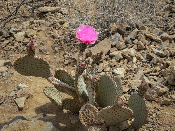 @뉴스코리아 문성원 특파원