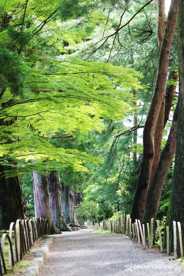 정원의 산책로 @뉴스코리아 김양현 특파원