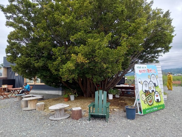 잠시 쉬어 갈 수 있는 공간, 코로나로 식당이용은 금지 @뉴스코리아 김경전 특파원