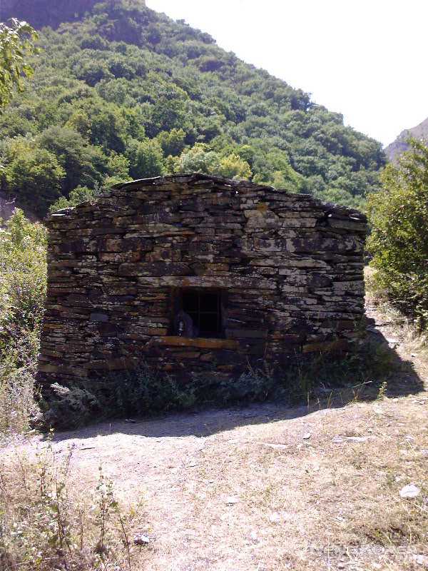 무초 역시 전염병 환자 발생지 격리 했던 무덤이 있다 @뉴스코리아 박철호 특파원