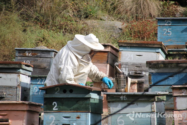 코카서스 조지아의 화려한 야생화 @뉴스코리아 박철호 특파원