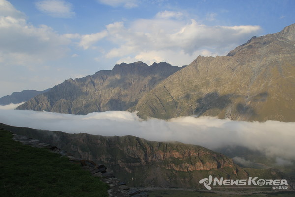코카서스 조지아의 화려한 야생화 @뉴스코리아 박철호 특파원