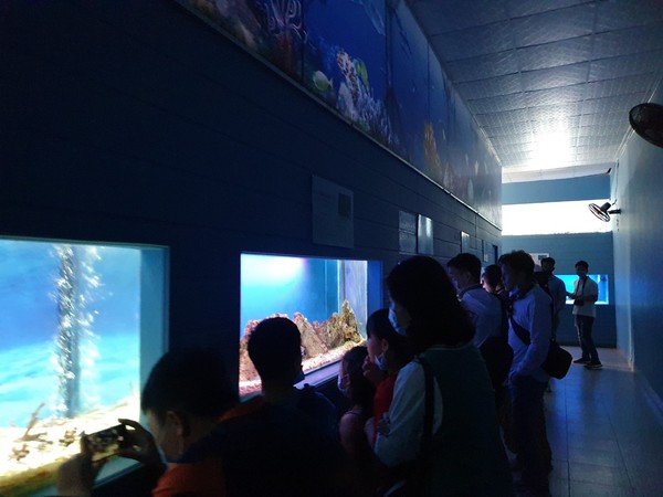 많은 사람들이 수족관에 진열된 해양 생물들을 관람하고 있다. @뉴스코리아 이웅연 특파원
