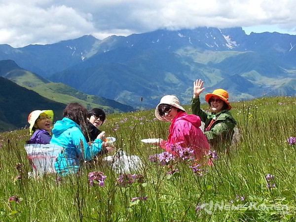 해발 2,500미터 지역에서 만나는 천상의 화원 @뉴스코리아 박철호 특파원