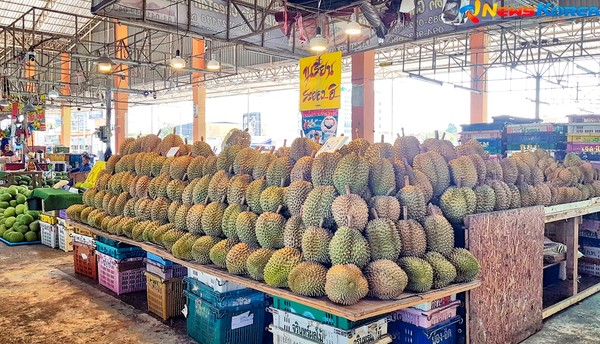 @뉴스코리아 김대민 특파원