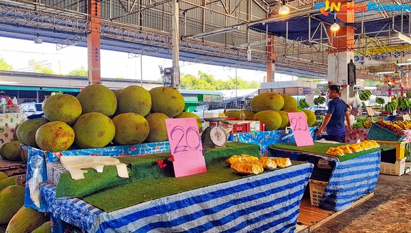 @뉴스코리아 김대민 특파원