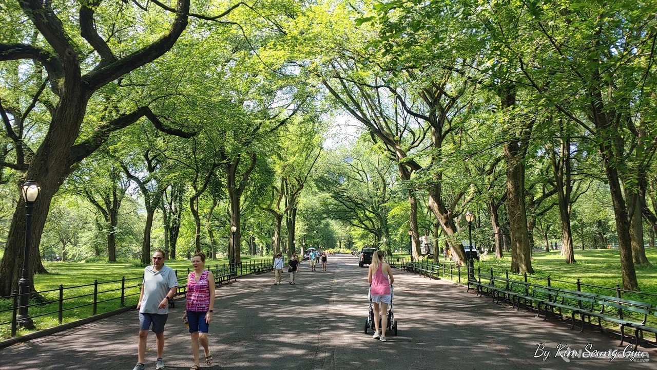 ▲ 사진 : COVID-19 이전으로 돌아간 뉴욕의 센트럴 파크 (2021. 6. 9 촬영,  페이스북 갈무리)