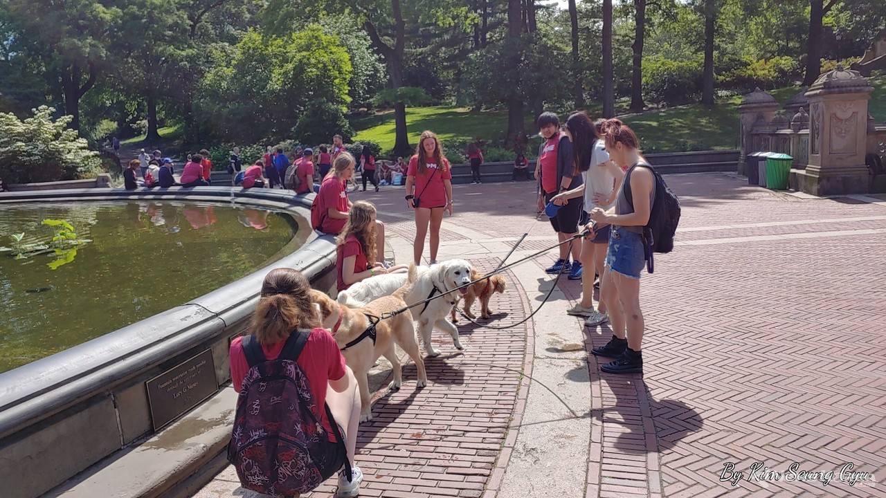 ▲ 사진 : COVID-19 이전으로 돌아간 뉴욕의 센트럴 파크 (2021. 6. 9 촬영,  페이스북 갈무리)