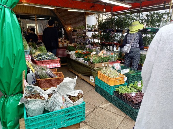 열린 가게에는 손님들이 둘러 보고 있다(홋카이도=뉴스 코리아) 김 경전 특파원