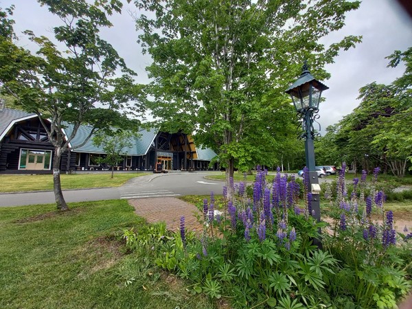 로그 호텔 메이플 로지 전경 @뉴스코리아 김경전 특파원 