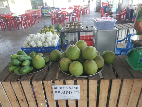 빈칸 휴게소는 싱싱한 베트남 열대 과일들중 자몽이 유명하다.  @뉴스코리아 이웅연 특파원