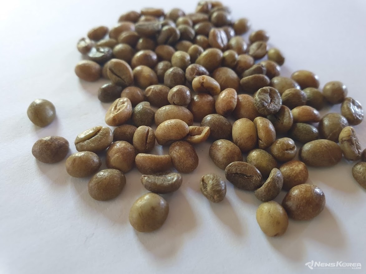 안티케 로부스타 생두