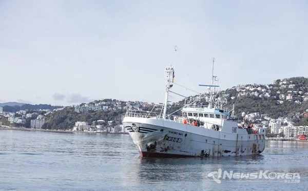 격리어선 '바이킹 베이호'(사진제공 = 위클리코리아)