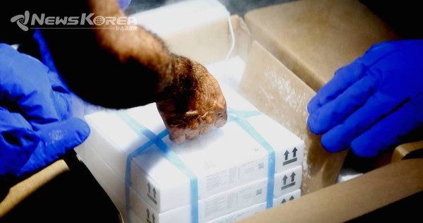 화이자 백신 접종 시작 (사진: 조지아 보건부 제공) @뉴스코리아 박철호 특파원