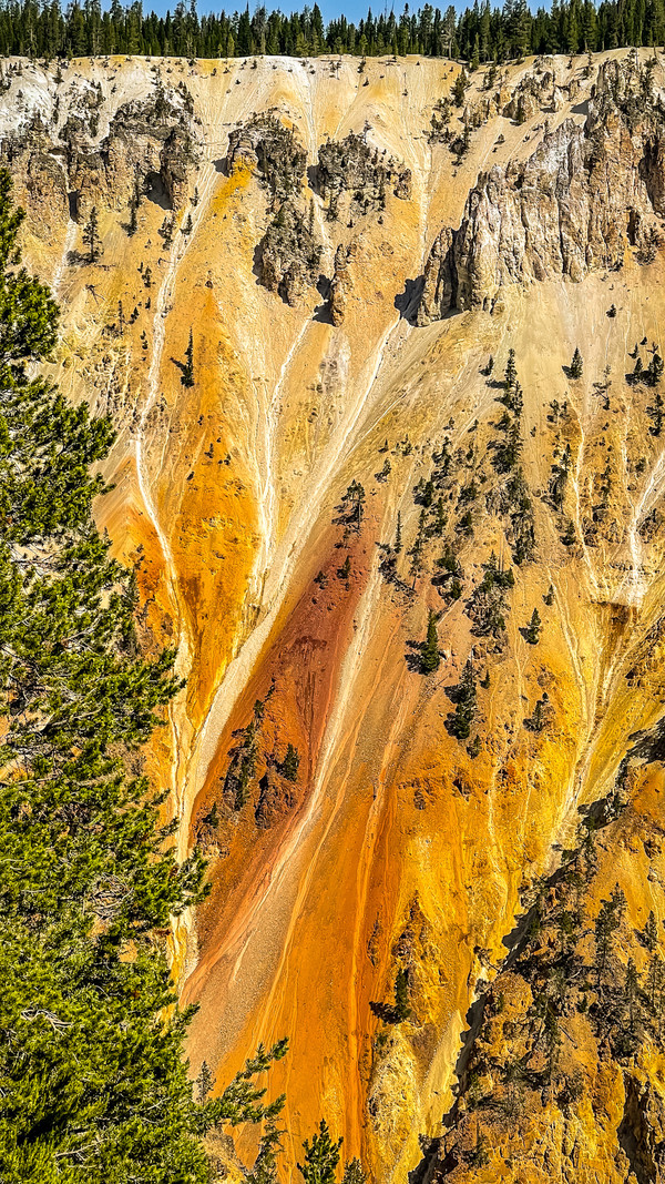 진정한 갤러리는 대자연이 분명하다! @뉴스코리아 문성원 특파원
