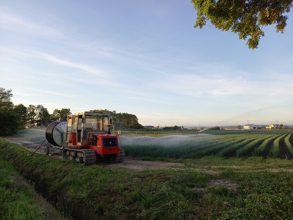 농작물에 물주기 @뉴스코리아 김경전 특파원