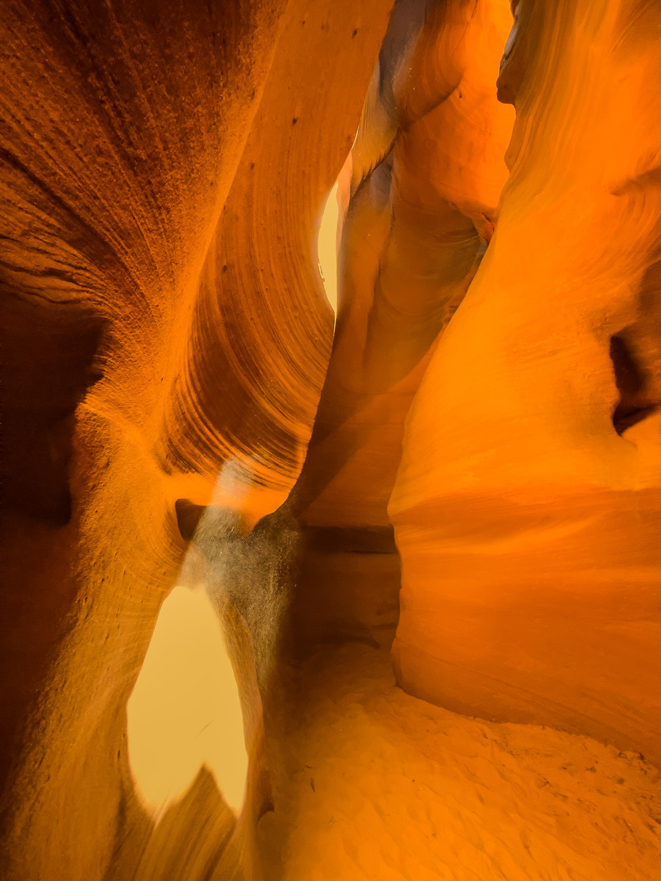 각조를 조금 더 트니 완벽한 하트 모양이다! @뉴스코리아 문성원 특파원