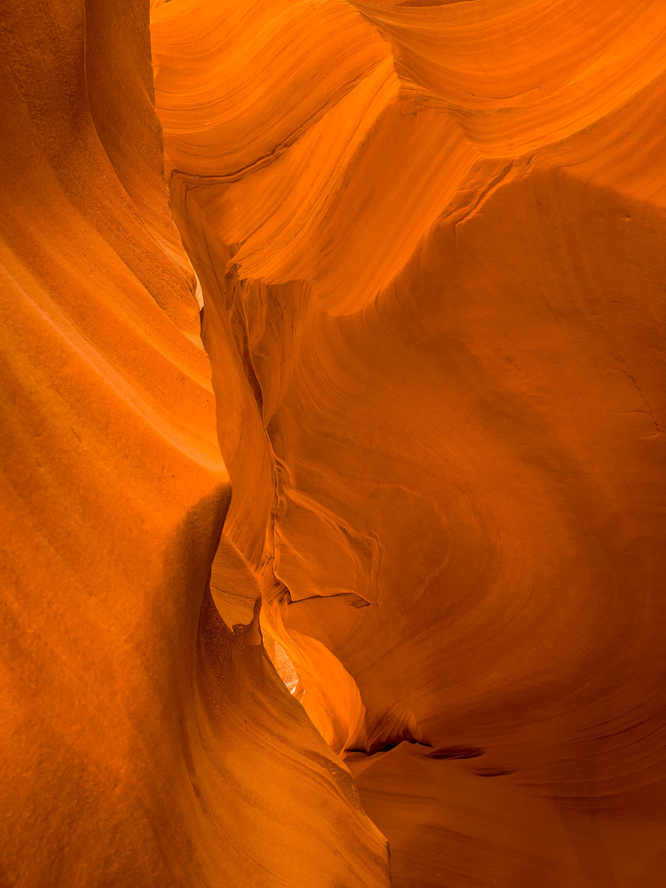 아름답다라는 언어가 무척 잘 어울린다! @뉴스코리아 문성원 특파원