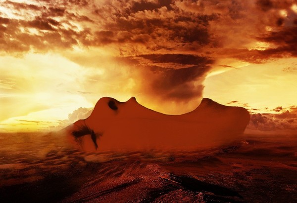 출처:Pixabay.Vicki,Hamilton