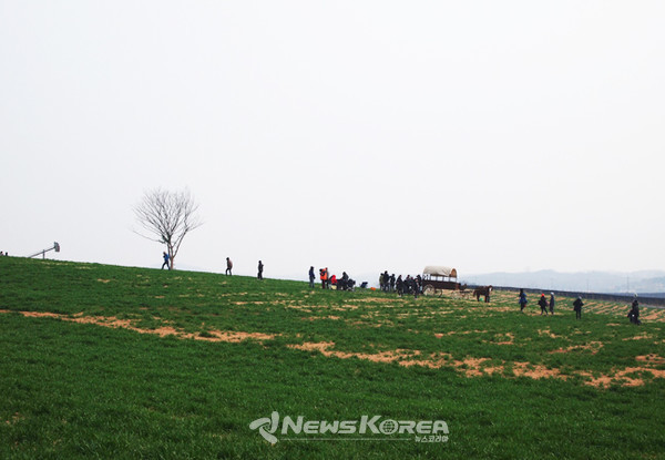 다양한 구역으로 나뉘어진 목장내에서 사진을 찍는 방문객들 모습 @뉴스코리아 최신 기자