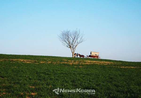 구석 구석 포토존이 즐비한곳이다. @뉴스코리아 최신 기자