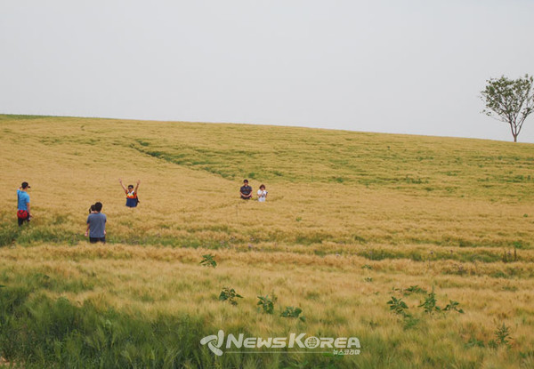 계절별로 다양한 풍경을 연출하는 아그로랜드 @뉴스코리아 최신 기자