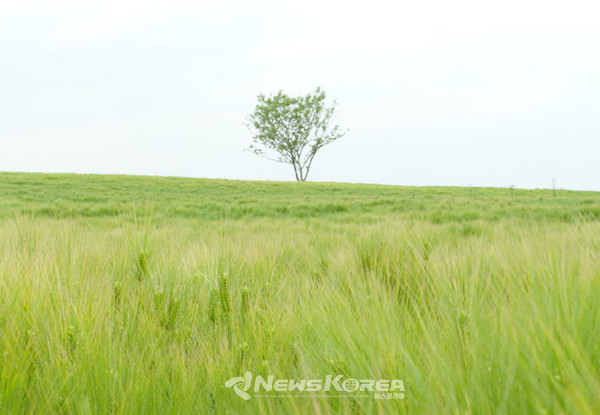 같은 장소 다른 느낌 @뉴스코리아 최신 기자