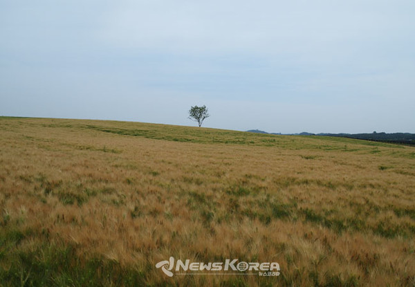 4계절 모두 다른 풍경을 만들어 내는 같은 공간 @뉴스코리아 최신 기자
