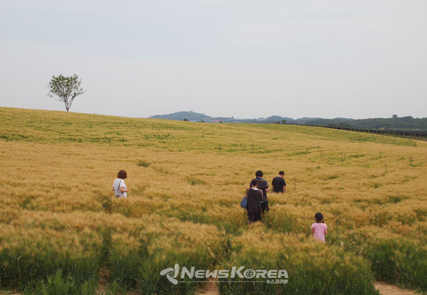 곳곳에 자유롭게 산책을 즐기려는 방문객들의 모습이 보인다. @뉴스코리아 최신 기자