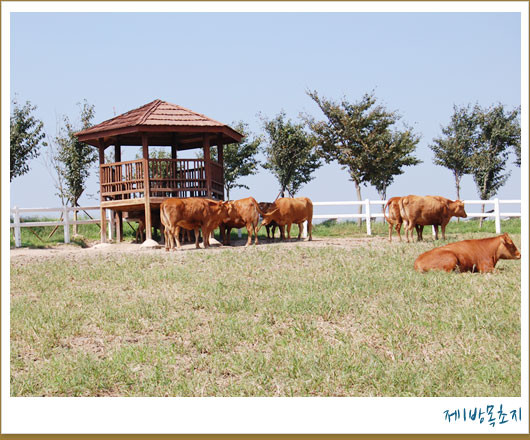 사진: 아그로랜드 홈페이지