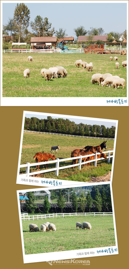 사진: 아그로랜드 홈페이지