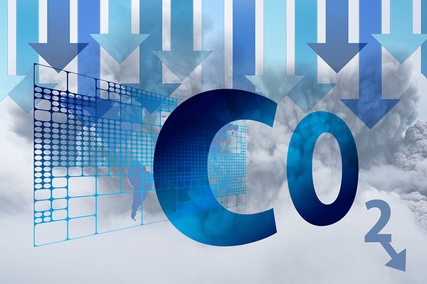 출처: 픽사베이 Gerd Altmann