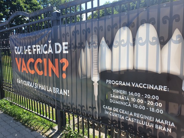 브란성 백신 무료접종. @뉴스코리아 임성택 특파원