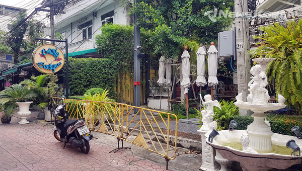 보타닉 백야드(Botanic Backyard Bar & Restaurant) / @뉴스코리아 김대민 특파원